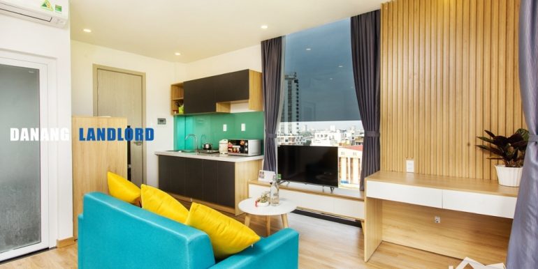 apartment-for-rent-dragon-bridge-view-A0008-T-01