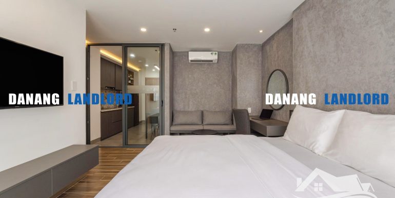 apartment-for-rent-han-river-da-nang-C183-T-01