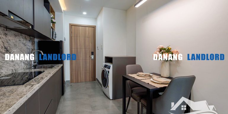 apartment-for-rent-han-river-da-nang-C183-T-03