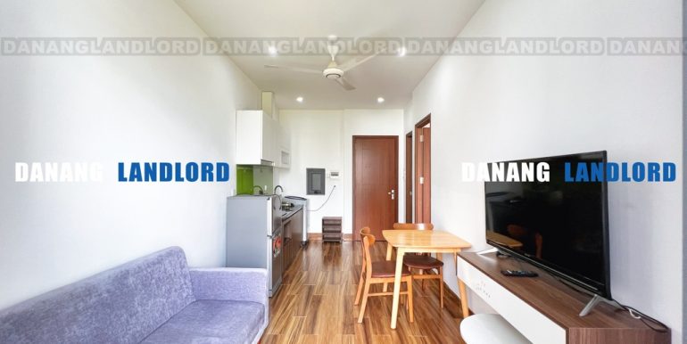 apartment-for-rent-khue-my-da-nang-C246-3-T-02