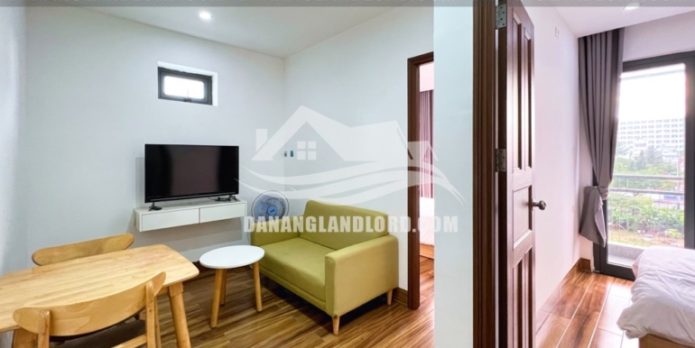 apartment-for-rent-khue-my-da-nang-C384-T